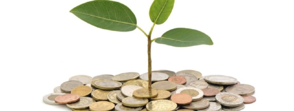 Les obligations vertes ont le vent en poupe