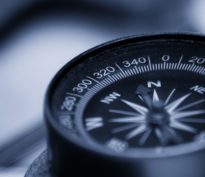 Les small caps immunisées contre le Covid?