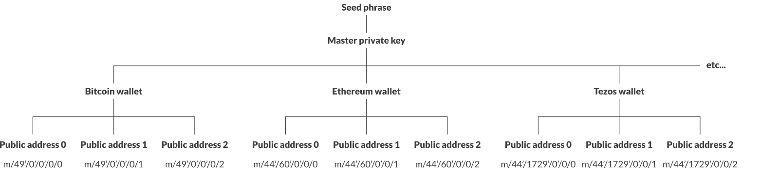 Arborescence d'un wallet HD