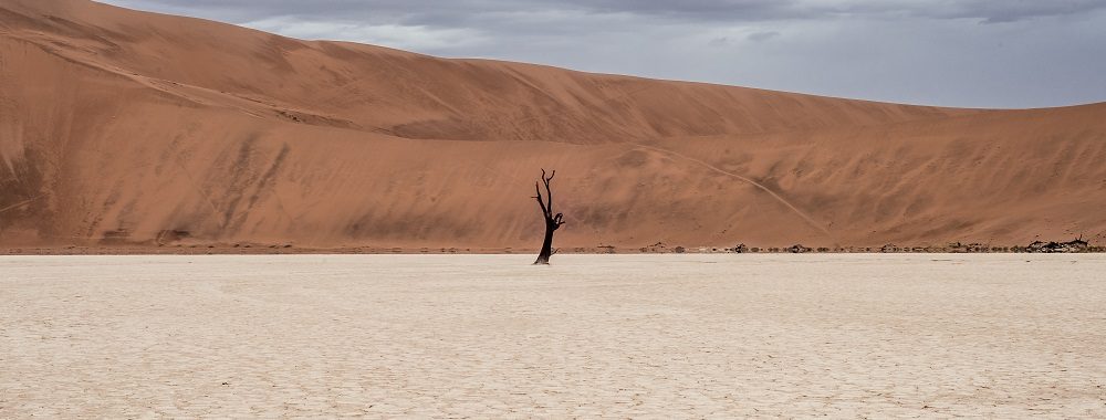 Investissement climatique: réflexions sur la neutralité carbone