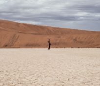 Investissement climatique: réflexions sur la neutralité carbone