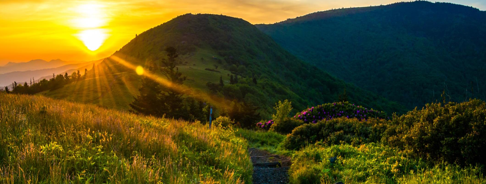 Perspectives du secteur des crédits aux entreprises