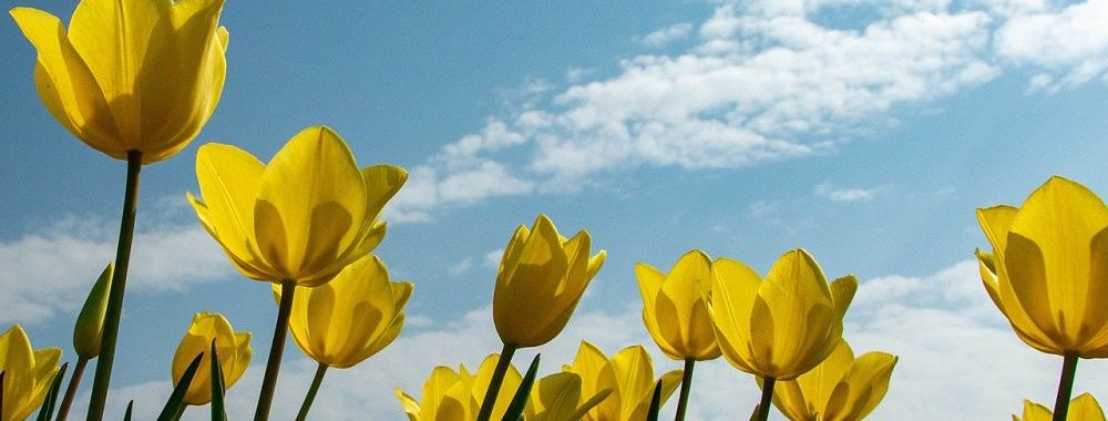 Soleil printanier de retour sur les convertibles