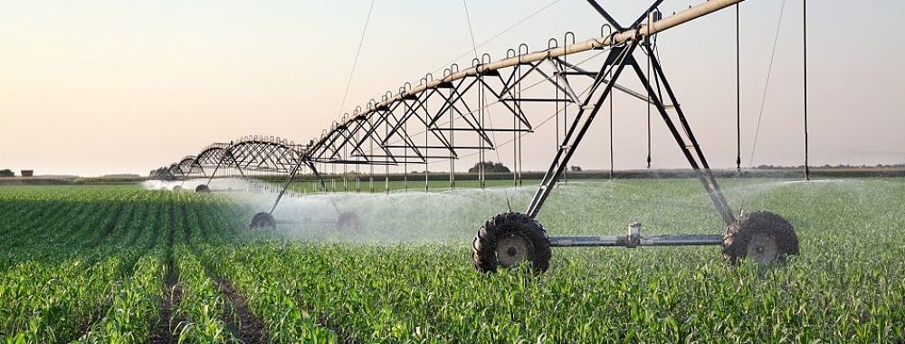 Pourquoi une agriculture efficace est la clé d’un système hydrique durable