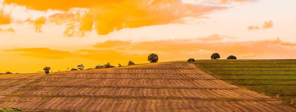 Guerre en Ukraine : envolée des cours des matières premières