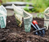 Patrimoine : maximiser vos rendements