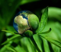 Donner aux PME les moyens de générer une croissance économique plus durable