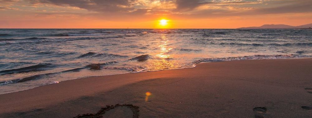 Disruptions, progrès, et obligations convertibles: une longue passion