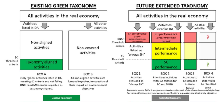 2022.05.19.Taxonomie