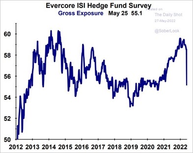 2022.05.30.Hedge Fund Survey