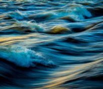 Bilan du marché des fonds au premier semestre 2022