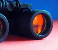 Comment les critères ESG réduisent les risques thématiques et cycliques?