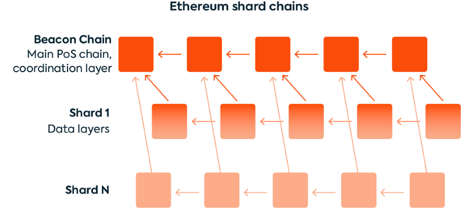 2022.08.24.ethereum shard chains@2x (1)