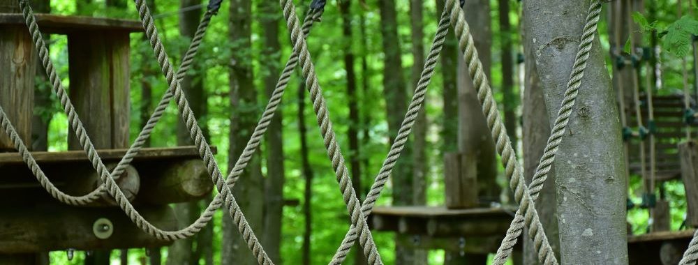 Point sur…Echiquier AGENOR SRI Mid Cap Europe