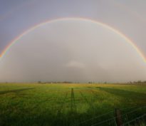 Géopolitique : éclaircie en formation
