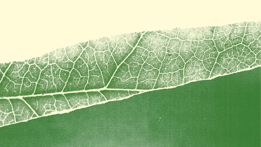 Profiter de la hausse historique des rendements sur les obligations