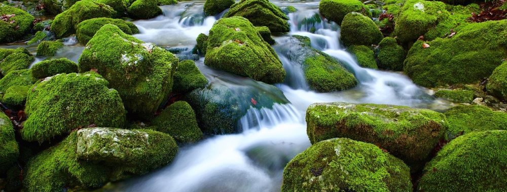 L’eau, un investissement qui coule de source