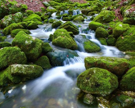 L’eau, un investissement qui coule de source