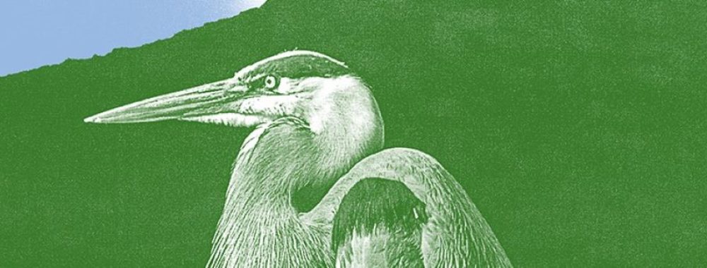 Anaxis Defensive Bond Opp. 2026