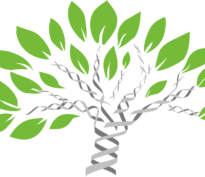 Les «Taxo4»: décryptage des quatre derniers objectifs environnementaux de la Taxonomie