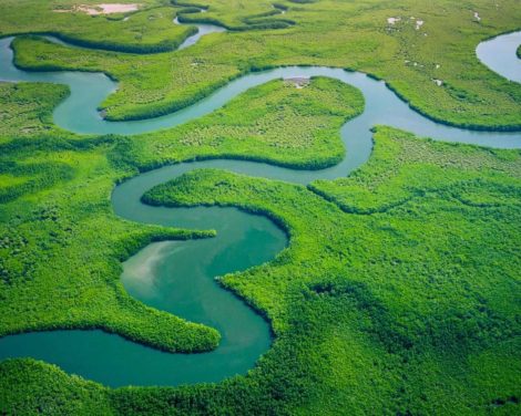 Dans quelle mesure est-il possible d’investir dans le capital naturel?