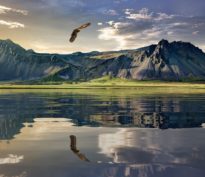 Récession ou pas, comment se positionner et profiter de la sous-valorisation des SMid caps?