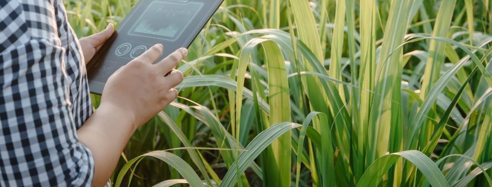 Une étude sur la bioacoustique révèle des moyens de mesurer la biodiversité pour les entreprises