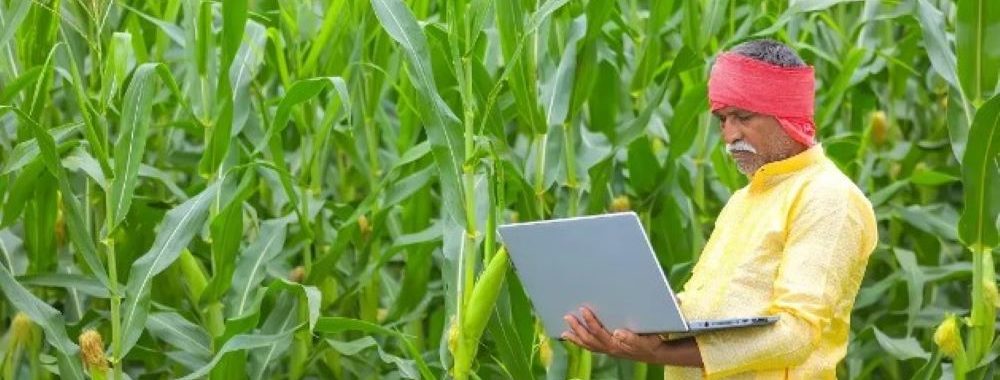 Investir dans le changement climatique: rôle des marchés privés dans la création d’un impact réel