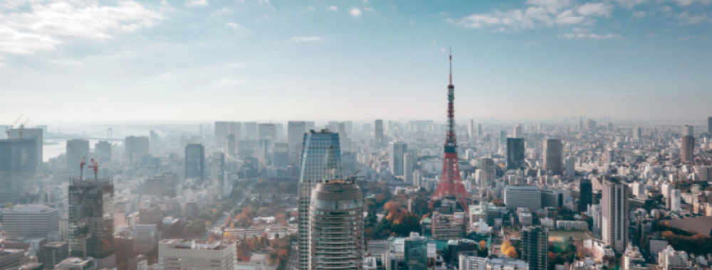 Dette émergente: une potentielle source de protection et de diversification?