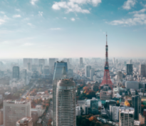 Dette émergente: une potentielle source de protection et de diversification?