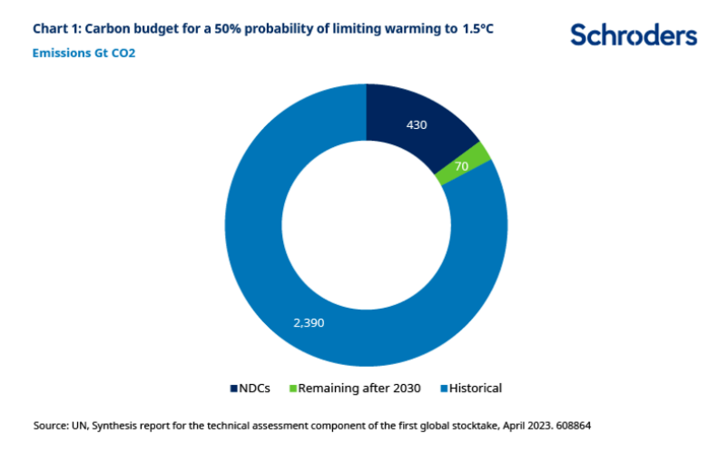 2023.06.29.Carbon budget