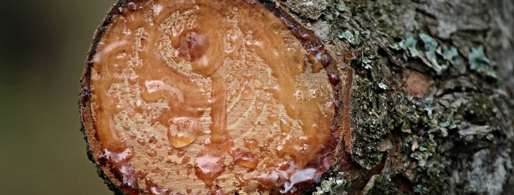 L’inflation «pot de colle»: Je t’aime, moi non plus!