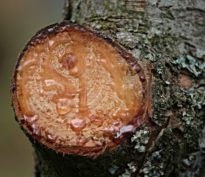 L’inflation «pot de colle»: Je t’aime, moi non plus!