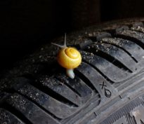 Le plus grand risque actuel est la complaisance