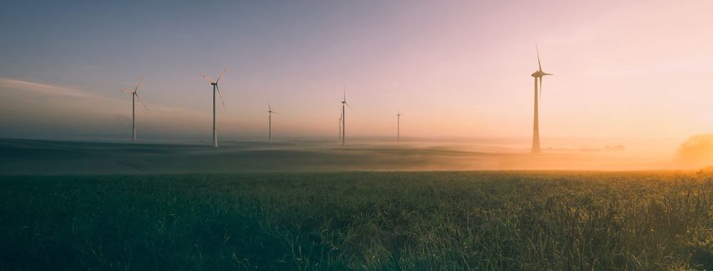 Leadership des puissances durables