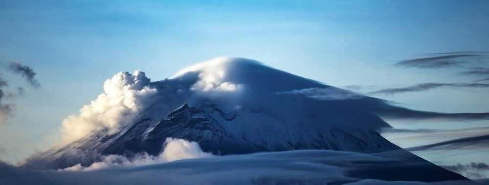 Le Retour des Dividendes