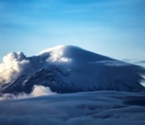 Le Retour des Dividendes