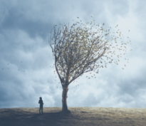 Opinion macroéconomique – novembre 2023