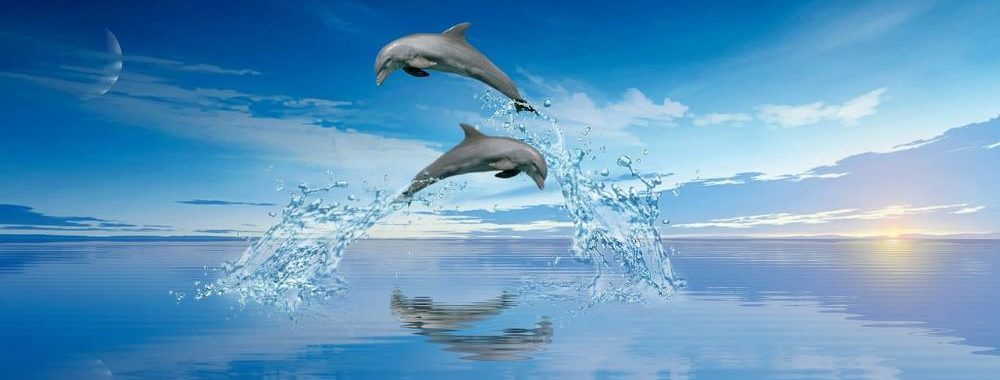 Comment débuter dans l’investissement à impact: réponse à vos questions