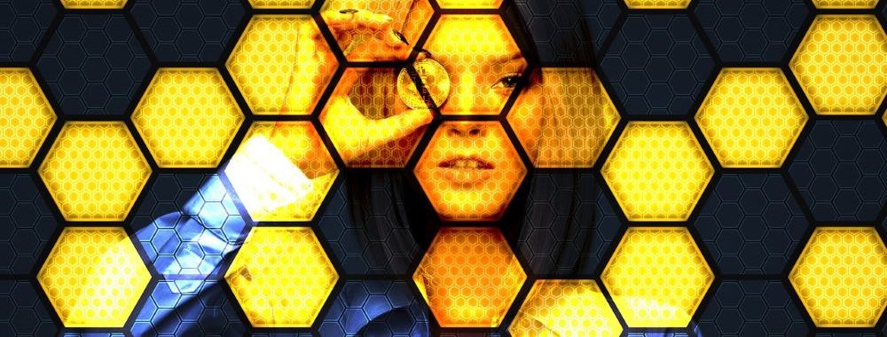 Hashdex publie son Crypto Investment Outlook 2024