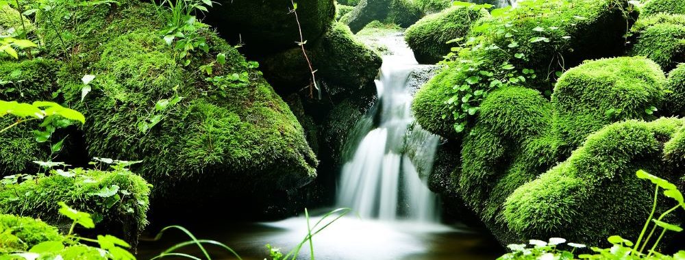 Dans quelle mesure est-il possible d’investir dans le capital naturel?