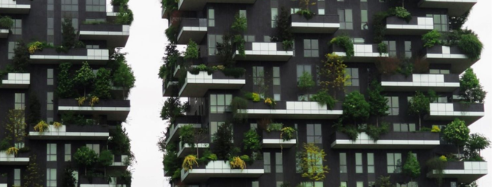 Faut-il choisir entre décroissance et croissance verte?