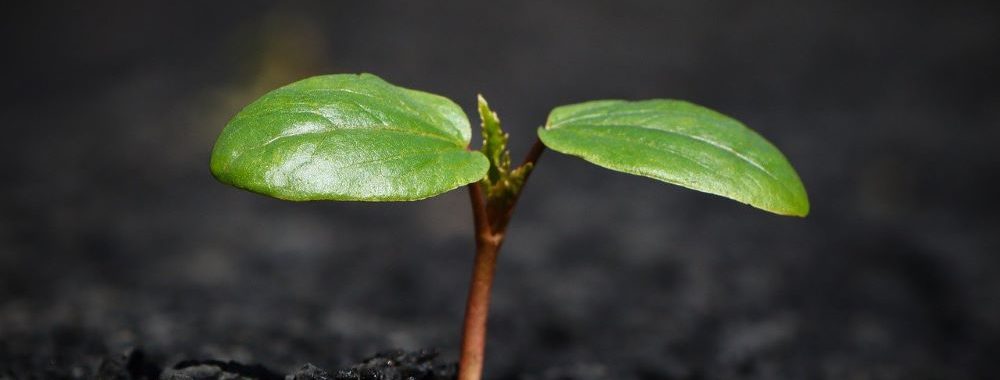 Où se situent les marchés boursiers les moins chers et les plus chers du monde