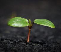 Où se situent les marchés boursiers les moins chers et les plus chers du monde