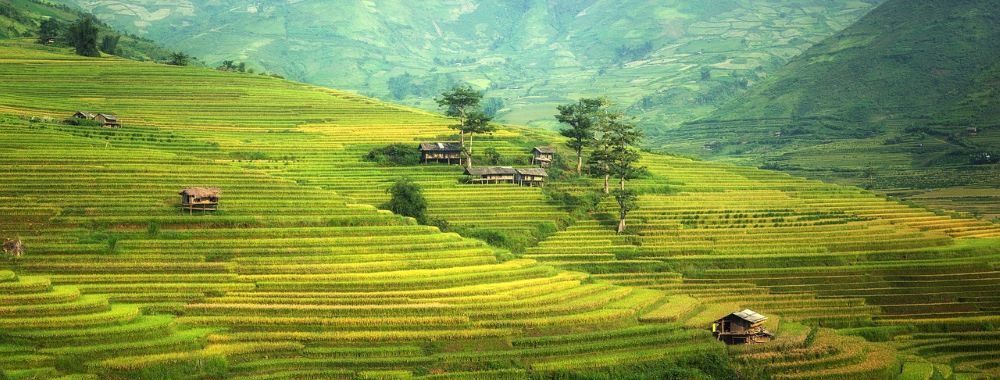 Marchés émergents: en route vers l’Asie
