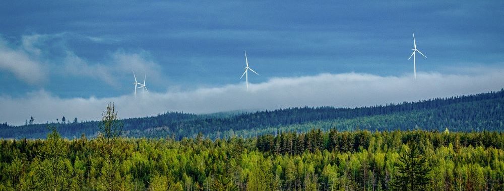 Priorités de la politique d’investissement durable pour 2023