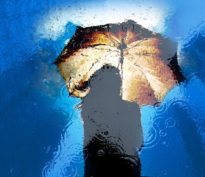 Perspectives de la gestion assurantielle en 2024