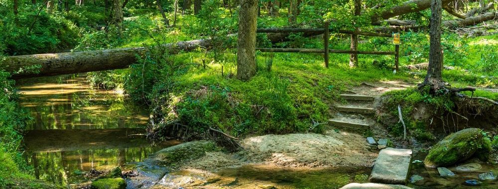 Nuire à la nature est un risque d’investissement, la préserver est une opportunité
