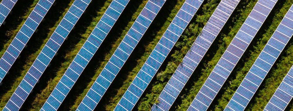 Les espoirs de l’Inde de dominer le marché de l’énergie solaire s’amenuisent, mais sans s’éteindre
