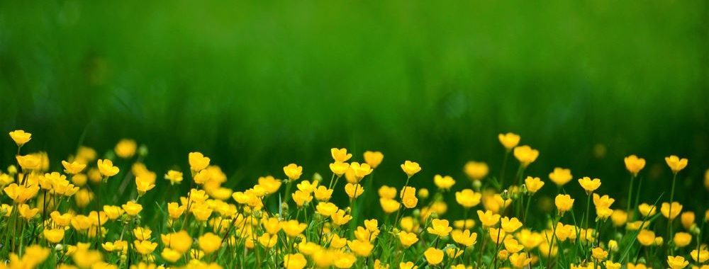 Point sur…Echiquier Credit SRI Europe (février 2024)